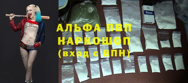 PSILOCYBIN Бронницы