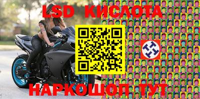 стаф Ливны