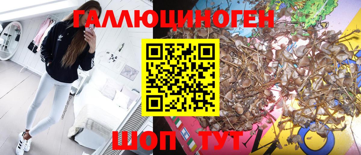 Галлюциногенные грибы мухоморы  Вход с VPN  Псилоцибиновые грибы Magic Shrooms  Гулькевичи 