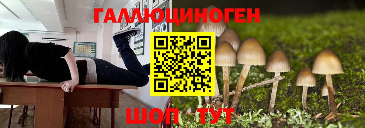 Мефедрон   Лсд 25  Вход с VPN  Меф  Гашиш  Конопля  Гулькевичи  APVP СК  